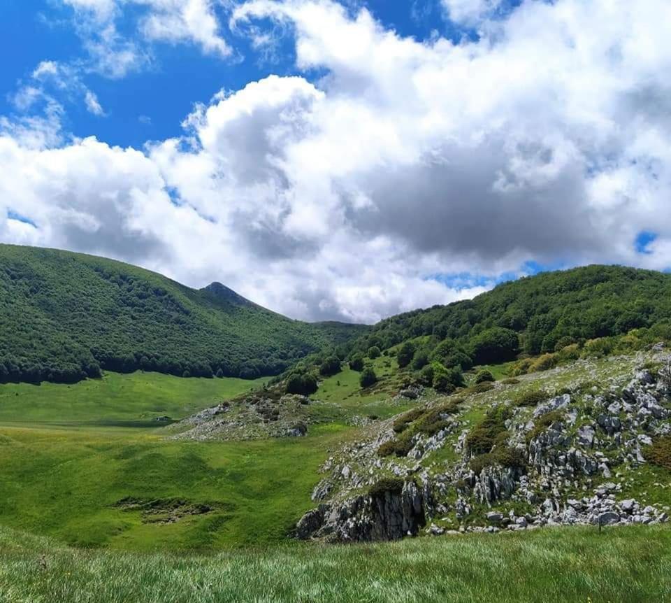 Casa Ciuffina Bed and Breakfast Civitella Casanova Εξωτερικό φωτογραφία
