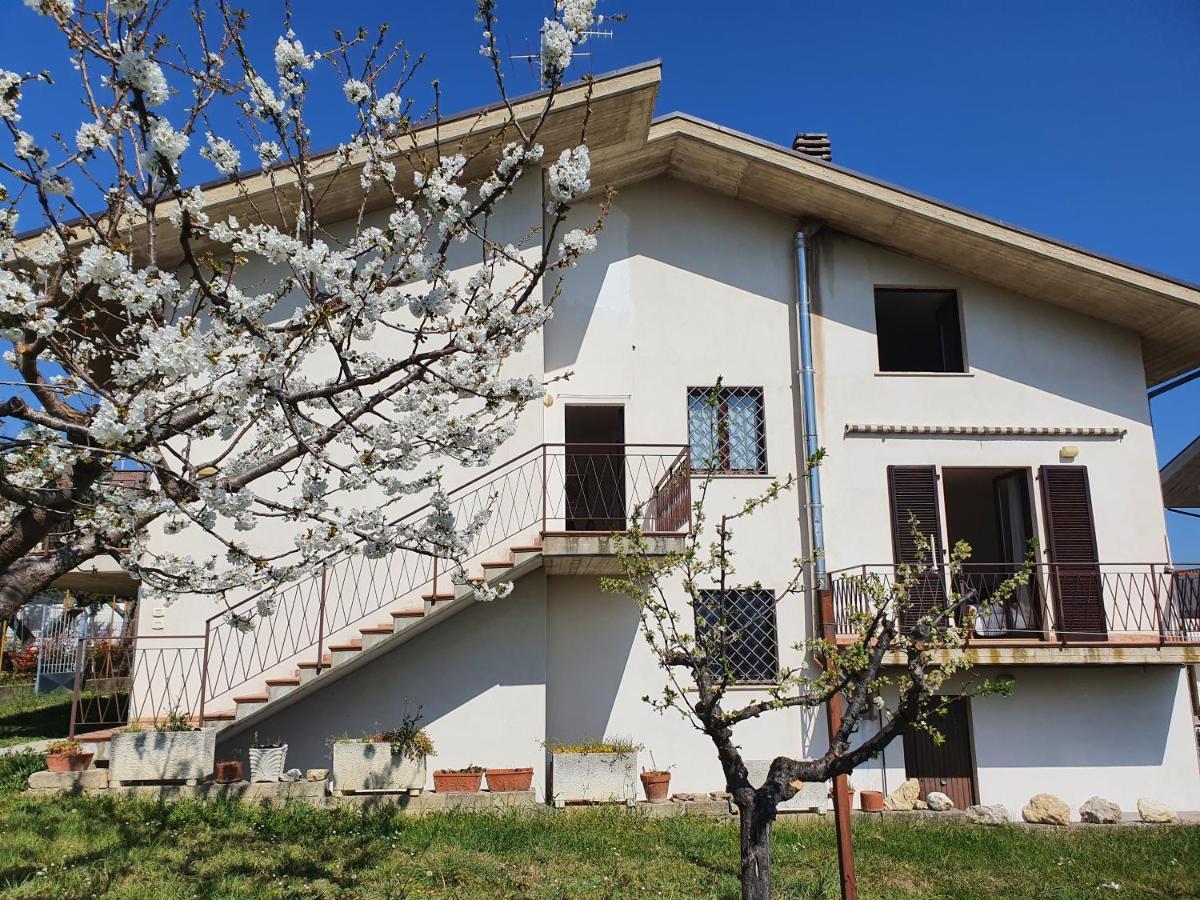 Casa Ciuffina Bed and Breakfast Civitella Casanova Εξωτερικό φωτογραφία