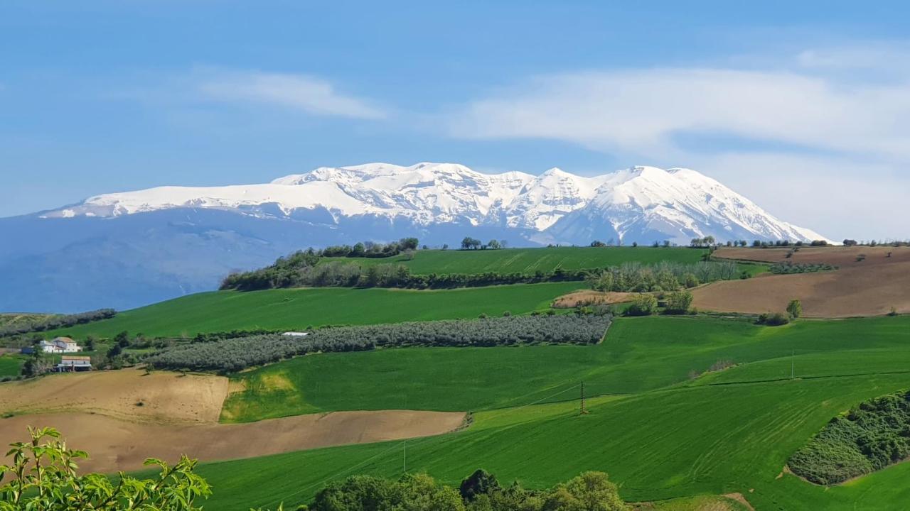 Casa Ciuffina Bed and Breakfast Civitella Casanova Εξωτερικό φωτογραφία