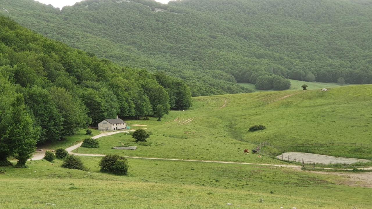 Casa Ciuffina Bed and Breakfast Civitella Casanova Εξωτερικό φωτογραφία